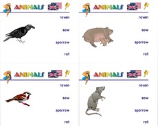 Holzcomputer-animals 06.pdf
